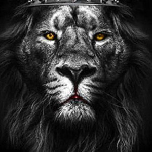 History_among