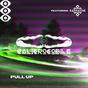 Pull Up (Ft KARMAONE)