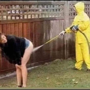 quarantine 