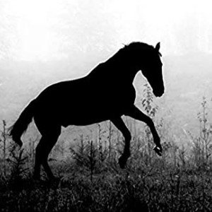 ⚫🙎🖤YO Y EL CABALLO NEGRO🖤🐴⚫