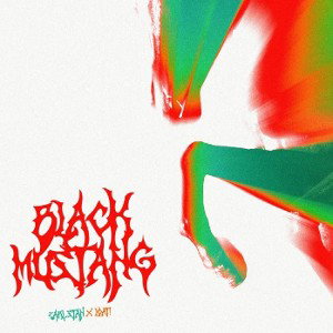 Earl Stan - Black Mustang