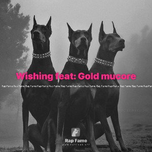 Wishing feat: Gold mucore