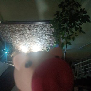 cerdito vol 2