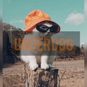 UNDERDOG