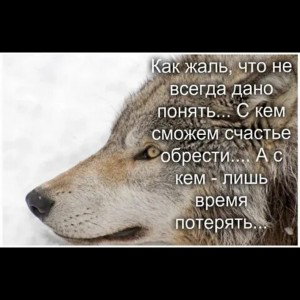 как жаль 