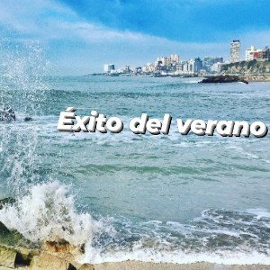 📢Éxito del verano 🔥