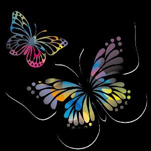 BUTTERFLY 
