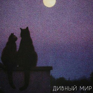 ДИВНЫЙ МИР
