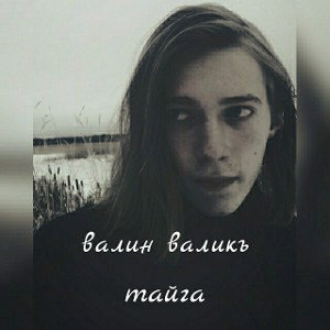 ТАЙГА