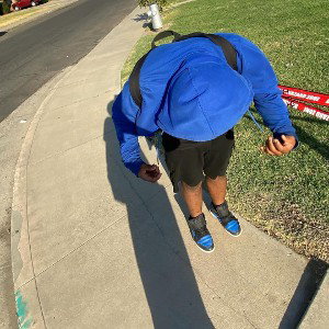 free five lul zay