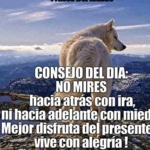 se_nota_la_tristeza_cuando_son_rrio