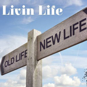 Living Life ft Perfektionist 