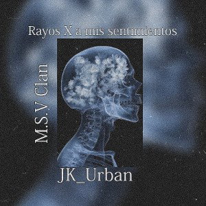 Rayos X a mis sentimientos 