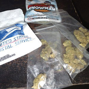 Daplugs - Packs after packs 