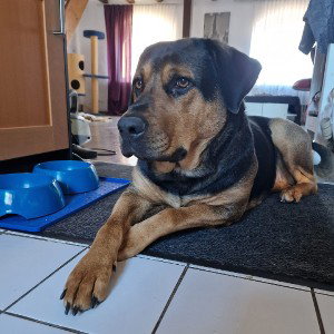 Baby du bist mein Leben 