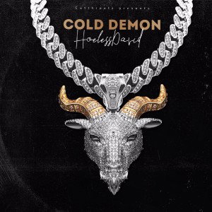 Hoelessdavid - Cold demon 