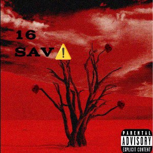 16 SAV