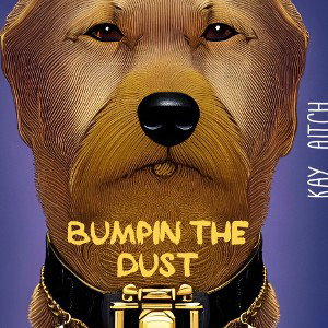 Bumpin The Dust 