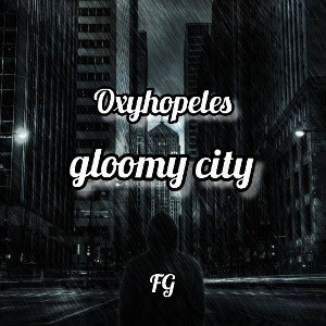 gloomy city ...