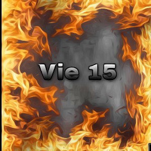 B2sko - Vie 15