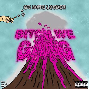 Bitch, We Gang