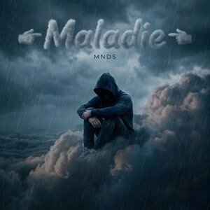 👉 Maladie 👈