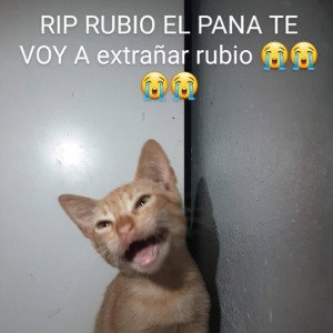 el pana rubio rip 😢😭😭