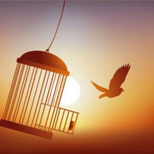 Caged Bird🦅 