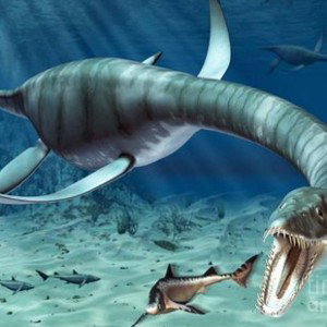🔥😱LOCHNESS MONSTA😱🔥