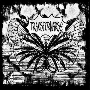  TRANSFORMARSE 