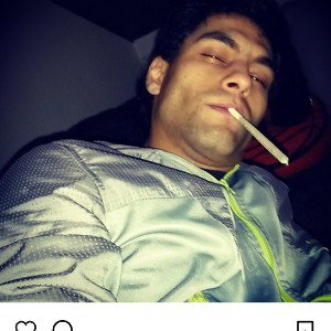 schit bitch 