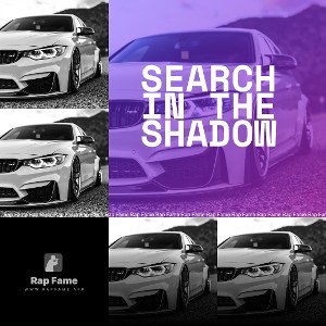 SEARCH IN THE SHADOW
