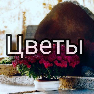 Цветы