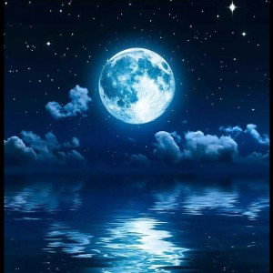-MOON-