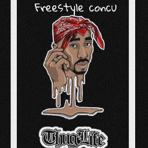 Freestyle concu 1