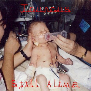 Still Alive