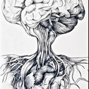 Feliz 
