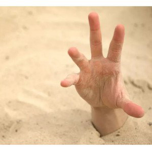  quicksand 
