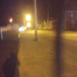 Dark Rd