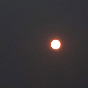 moonlight