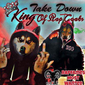 TAKE DOWN FREESTYLE 