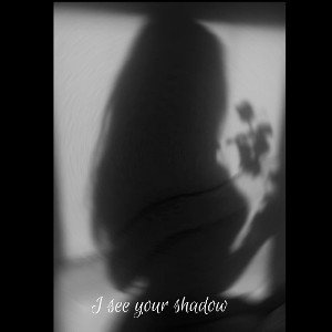 Shadows