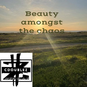 Beauty amongst the chaos