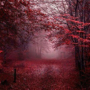 ОСЕНЬ 🍂 🍁 🥮 🍂 🍁 🥮 