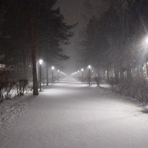 Спаситель Любимый
