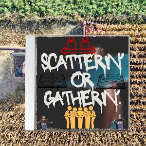 scatterin’ or gatherin’ 