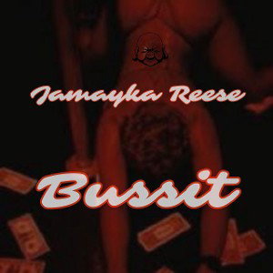 Bussit