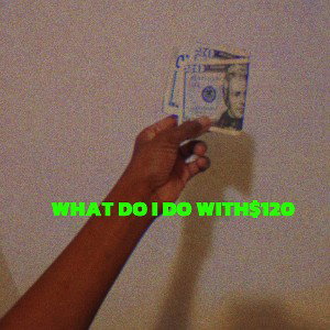 Im Serious.. What Do i Do With $120?