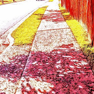 Smells The Daffodils