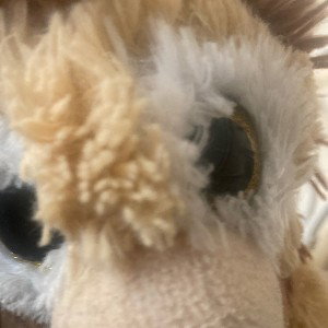 distract on lion